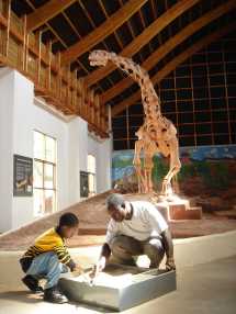 Ein Museum als Entwicklungsagentur: From Dinosaurs to Democracy 1