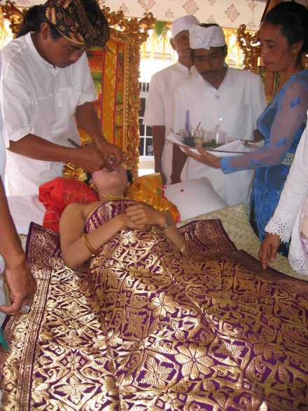 Von Reinheit, Zähnen und anderen Leidenschaften auf Bali 2