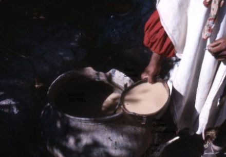 Die Tesgüinada 2