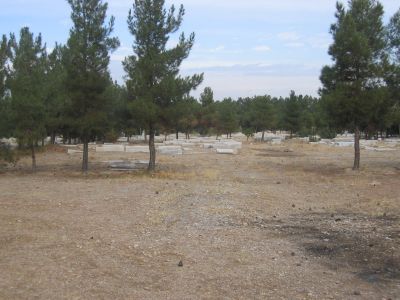 Naficy Friedhof 2