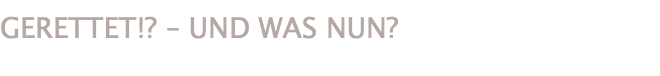 GERETTET!? – UND WAS NUN?